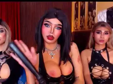 Chaturbate Adult Video Chat of massivecocktrans