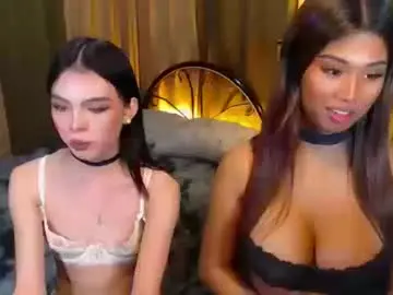 Chaturbate Free Live Porn of twinktransshanel