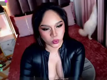 Chaturbate Live Sex of thesinnertrans