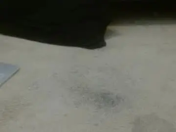 Chaturbate Best Webcam of hollyhawkes