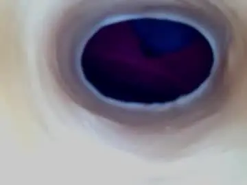 Chaturbate Free Live Porn of paulainoscente