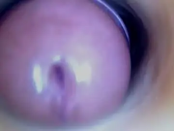 Chaturbate Adult Webcam of paulainoscente