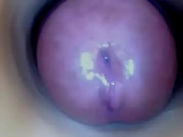 Chaturbate Free Live Porn of paulainoscente