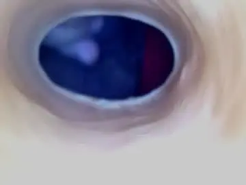 Chaturbate Watch Live Sex Cams of paulainoscente