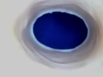 Chaturbate Nude Webcam of paulainoscente