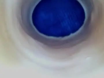 Chaturbate Sex Cam of paulainoscente