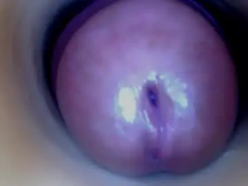 Chaturbate Adult Webcam of paulainoscente