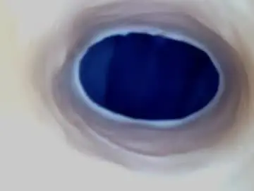 Chaturbate Best live sex cam show of paulainoscente