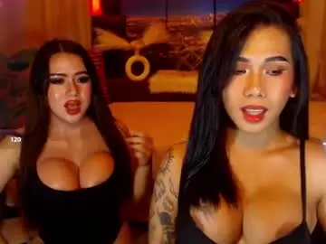 Chaturbate Sex Cam of transpornidol