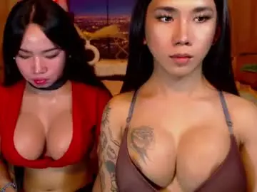Chaturbate Best Webcam of transpornidol