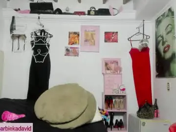 Chaturbate Nude Webcam of pamelakadavid