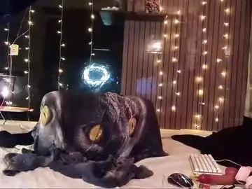 Chaturbate Live Porn of artqueenkelly