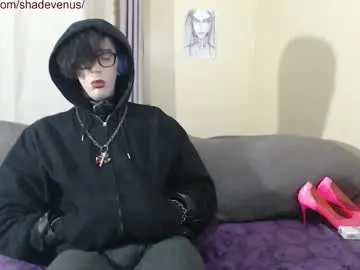 Chaturbate Adult Video Chat of shadevenus