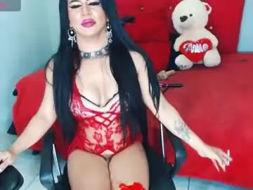 Chaturbate Best Webcam of anthotrans_bigcock