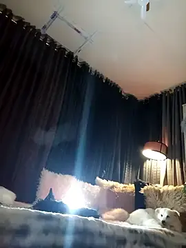 Stripchat Best Webcam of Your_dreambabe