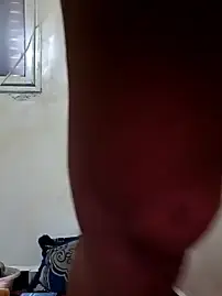 trans511 from stripchat