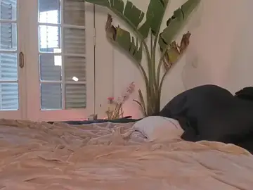 Stripchat Free Porn Cam of AliceSnowCatt
