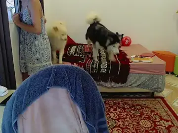 Stripchat Watch Live Sex Cams of Sophie_Fantasys