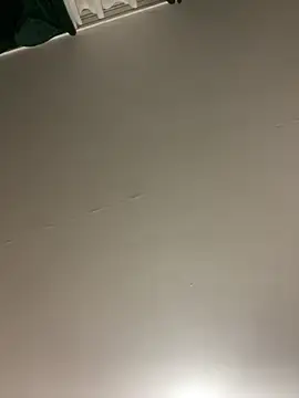 Stripchat Sex Cam of VelwetNoir