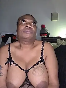 Stripchat Adult Webcams of shecockts