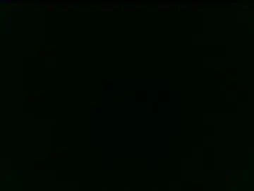 ppatriciarabello from stripchat