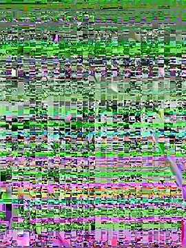 Stripchat Adult Webcam of Vanesa_novvoa