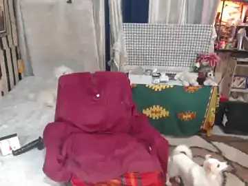 Stripchat Adult Webcam of Andreasabrinafox