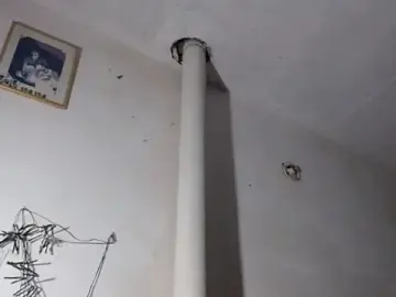 Stripchat Nude Webcam of BebaFoxx