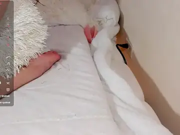 Stripchat Live Sex of teylor_rio