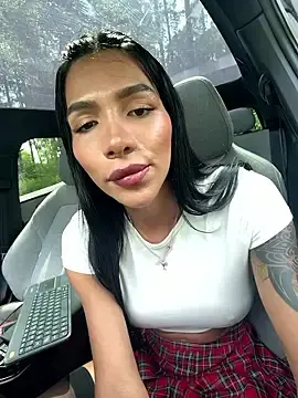 Stripchat Adult Webcam of divavirtual11