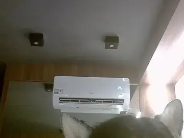 Stripchat Best live sex cam show of SkinnyKitten