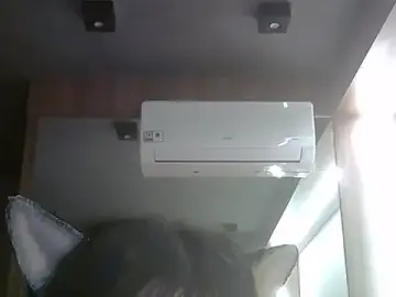 Stripchat Nude Webcam of SkinnyKitten
