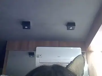 Stripchat Sex Chat of SkinnyKitten
