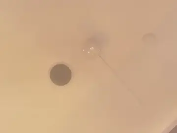 Stripchat Adult Webcam of GiselleParton