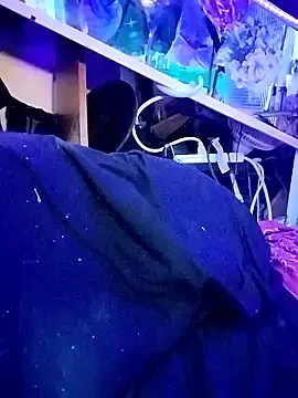 Stripchat Adult Video Chat of gurlnips